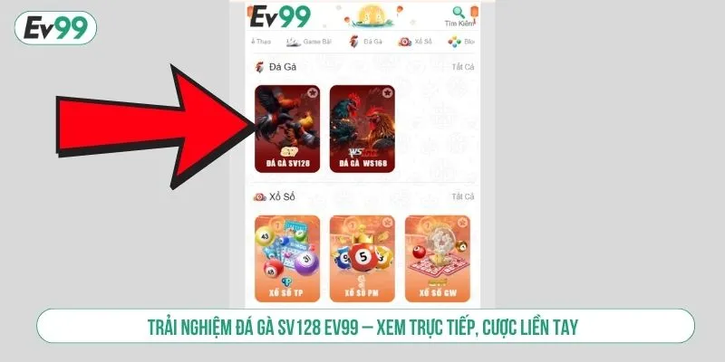 Đá gà SV128
