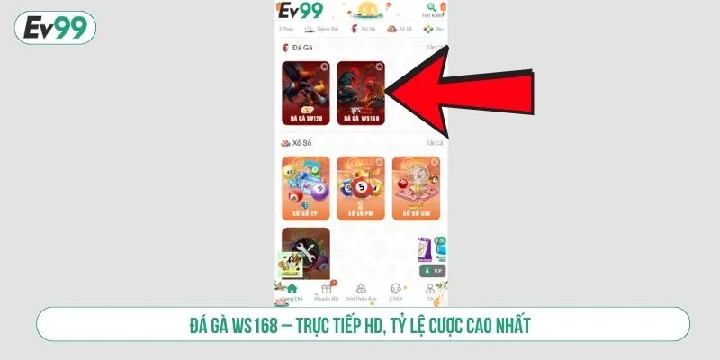 Đá gà WS168