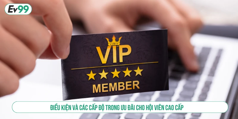 Điều kiện và các cấp độ trong ưu đãi cho hội viên cao cấp