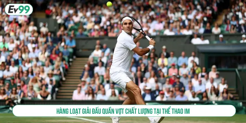 Hàng loạt giải đấu quần vợt chất lượng tại thể thao IM