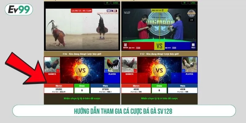 Hướng dẫn tham gia cá cược đá gà SV128