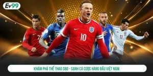 Khám phá thể thao SBO - Sảnh cá cược hàng đầu Việt Nam