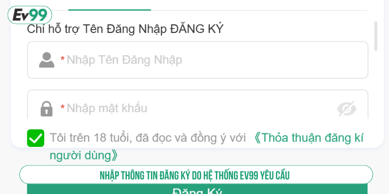 Nhập thông tin đăng ký do EV 99 yêu cầu 