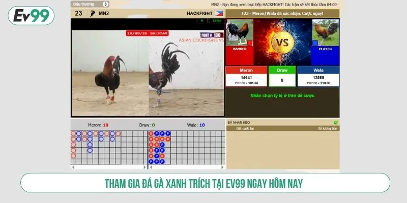 Tham gia Đá gà xanh trích tại EV99 ngay hôm nay